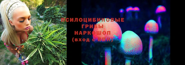 молекула духа Верея