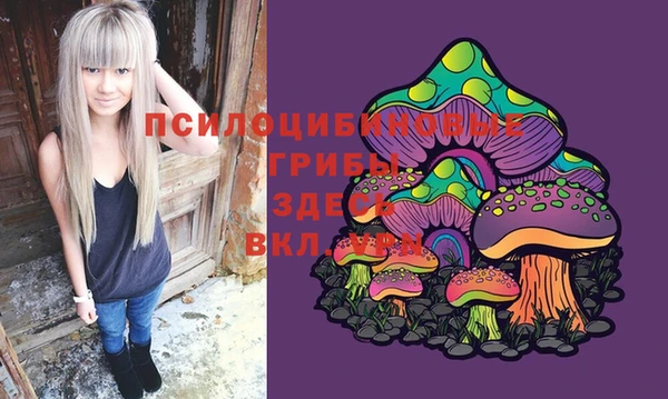молекула духа Верея