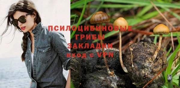 spice Верхний Тагил