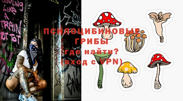 гидра Верхнеуральск