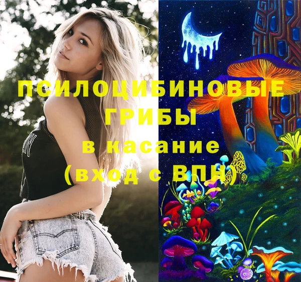 spice Верхний Тагил