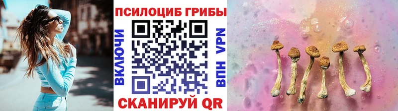 Галлюциногенные грибы мицелий  darknet состав  Плёс 